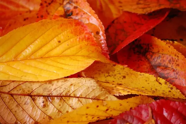 Les meilleures couleurs de peinture sur mesure pour chaque pièce