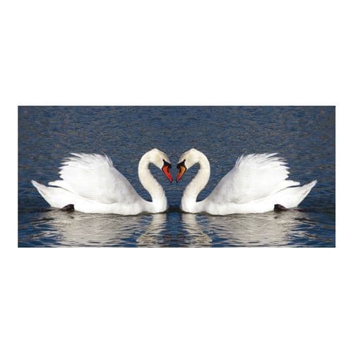 AG ART Swans, photo murale intissée, 202 x 90 cm, 1 part