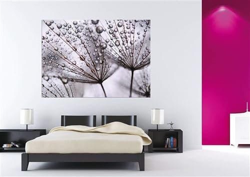 AG Design – Papiers Peints intissé – Après la Pluie – Tapisserie Photo – Poster Photo géant – 160x110 cm – 1 lés – FTNM 2637