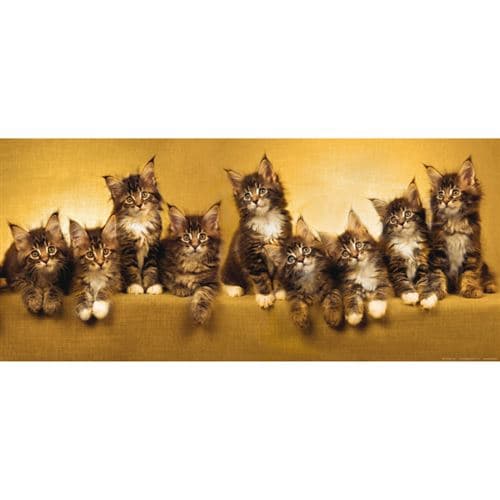 AG ART Kittens, photo murale intissée, 202 x 90 cm, 1 part