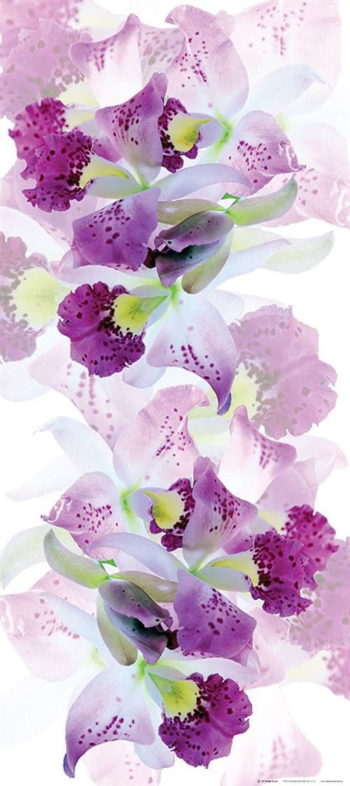 AG Design Odeur fTNv2921 Papier Peint Photo Murale Motif Fleurs