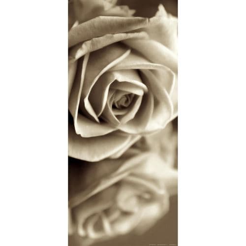 AG ART Sepia rose, intissé photo mural, 90 x 202 cm, 1 part